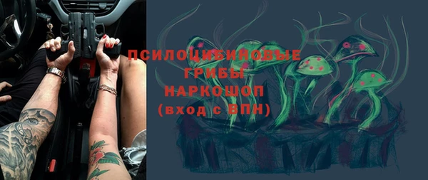 мдпв Богородск