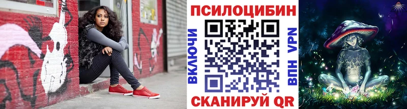 Купить где  Вилюйск  Галлюциногенные грибы Psilocybe 